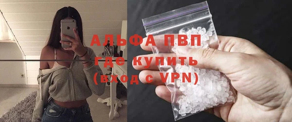 гидра Арсеньев