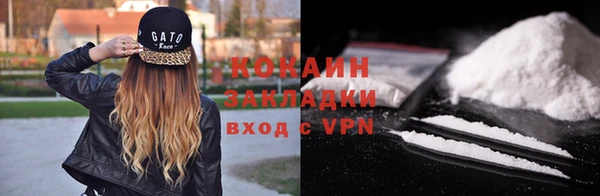 гидра Арсеньев
