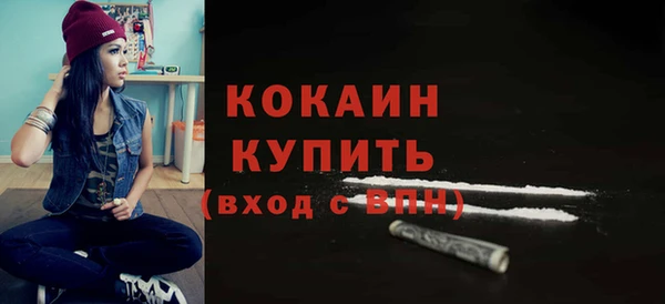 гидра Арсеньев