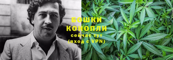 шишки Алексин