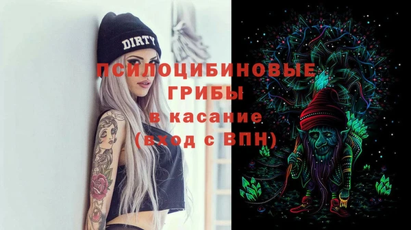 шишки Алексин