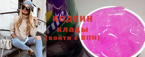 гидра Арсеньев